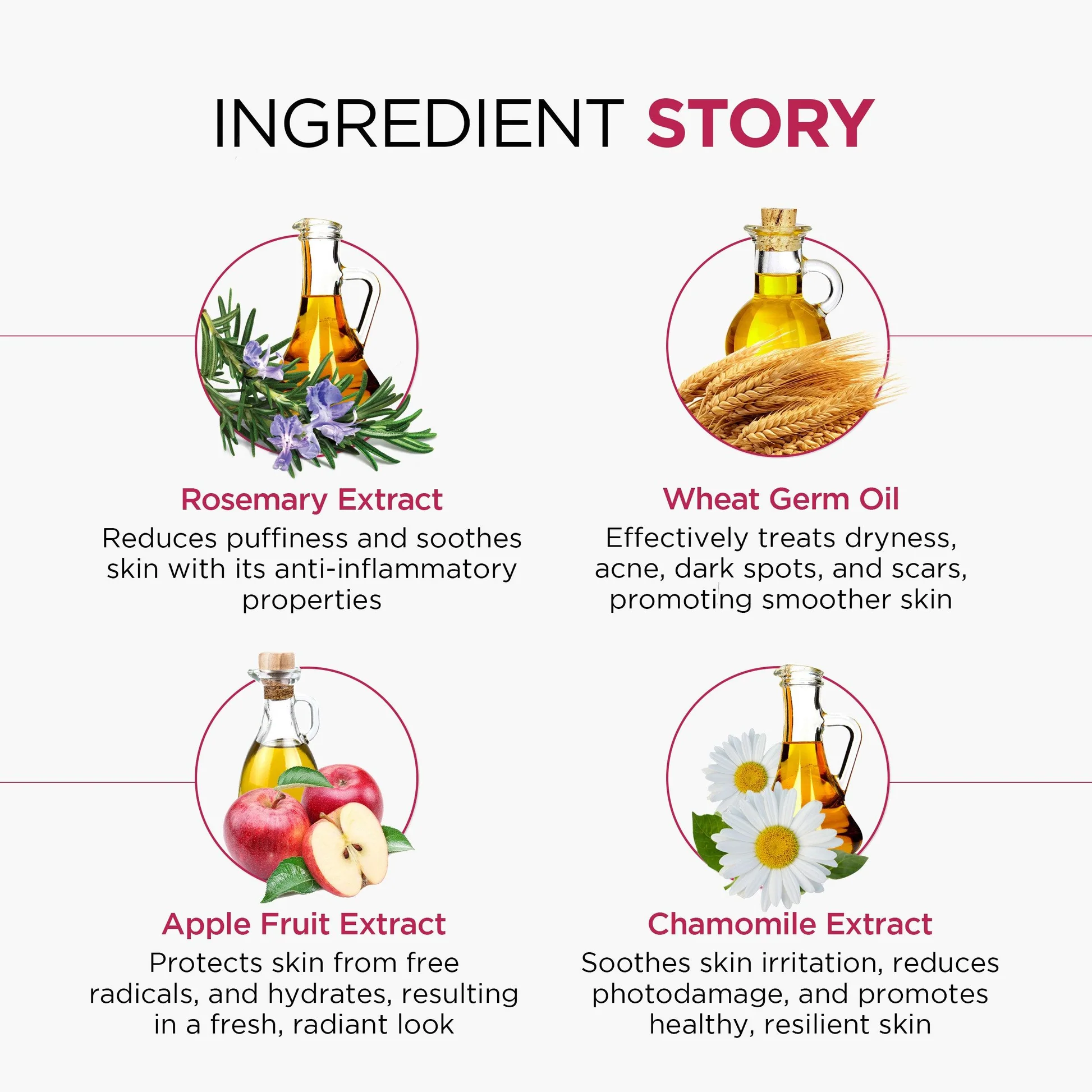 Phytoage Age Reversal Cream - Image 5