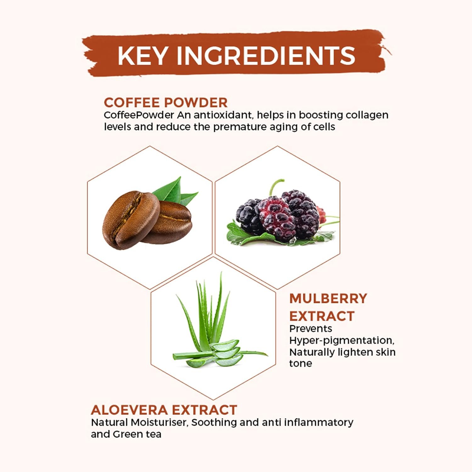 Oshea Herbals Cafeine Pro Coffee Face Mask for All Skin Types | Removes Impurities & Dead Cells | Enriched with Coffee Seed Oil & Mulberry Extracts 120 g - Image 2