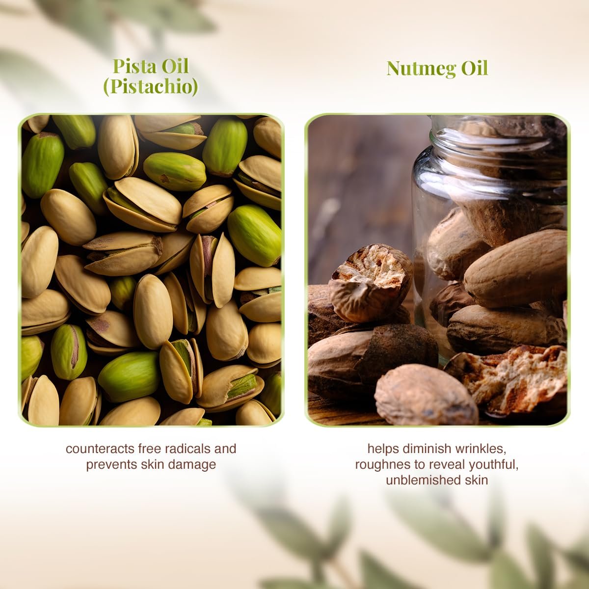 VLCC Pista Massage Cream 50g - For Intensive Hydration & Radiance | Improves Skin Complexion | Protects and Strengthens the Skin | Power of 10 Natural Extracts. - Image 5