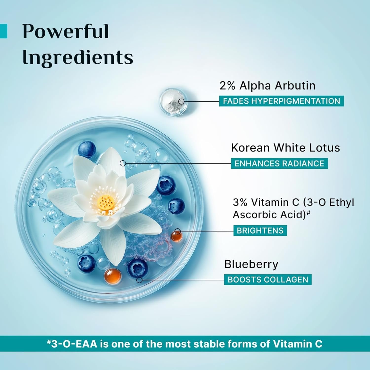 PILGRIM Korean 2% Alpha Arbutin & 3% Vitamin C Brightening Face Serum for glowing skin| Alpha arbutin face serum|All skin types | Men & Women| Korean Skin Care| Vegan & Cruelty-free | 30ml - Image 2